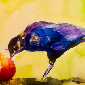 Blackbird