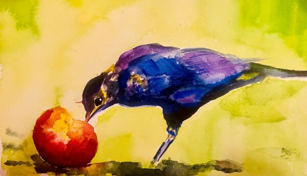 Blackbird