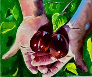 Harvesting Plums